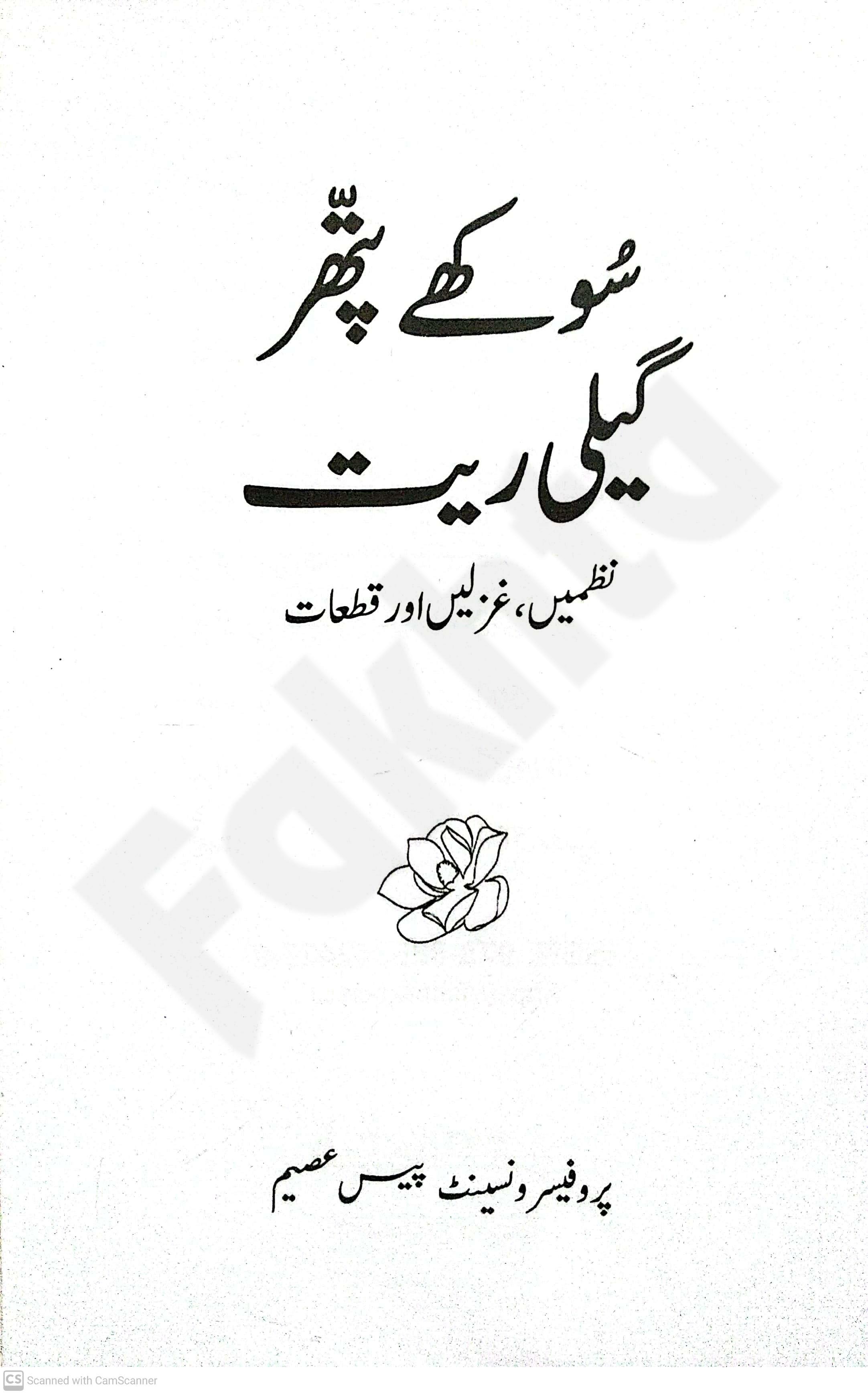 صفحہ